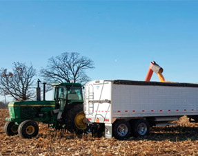 Welcome to Jasper and Evansville, IN